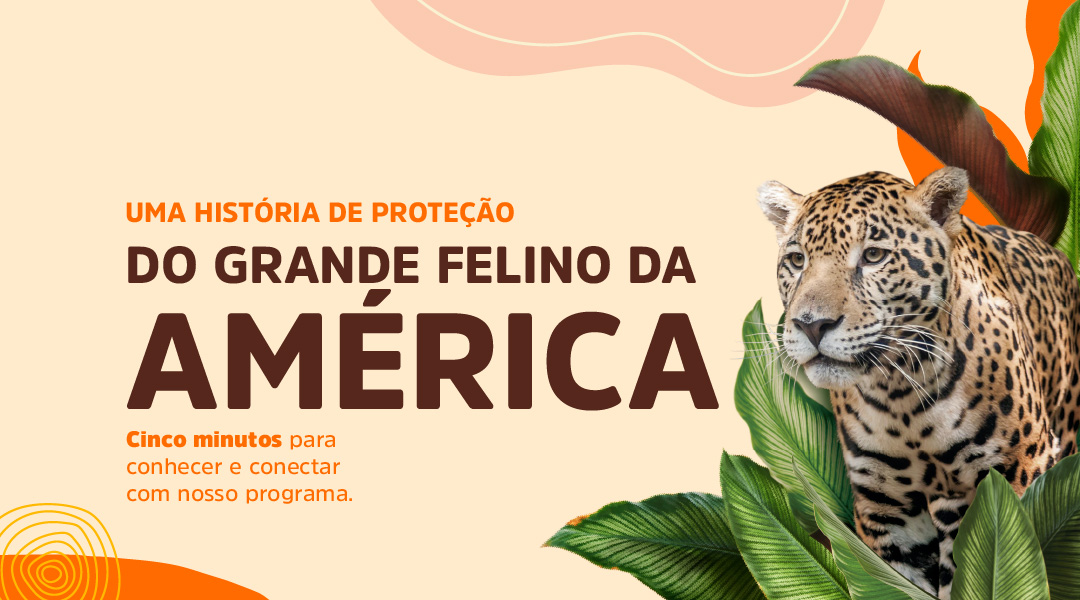 Banner-home-mobile-portugues-01